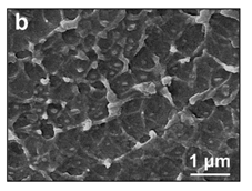 1633872572718318.png 图片4.png